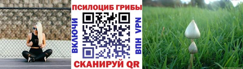 blacksprut ONION Конаково Галлюциногенные грибы мухоморы купить наркотики цена