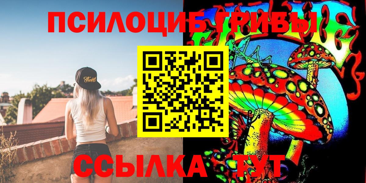 Галлюциногенные грибы Psilocybine cubensis  Конаково  Галлюциногенные грибы мицелий 