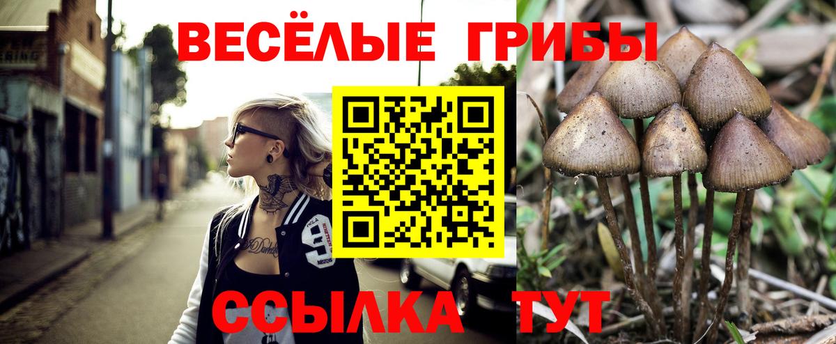 Псилоцибиновые грибы Cubensis  Вход с VPN  Галлюциногенные грибы прущие грибы  Конаково 